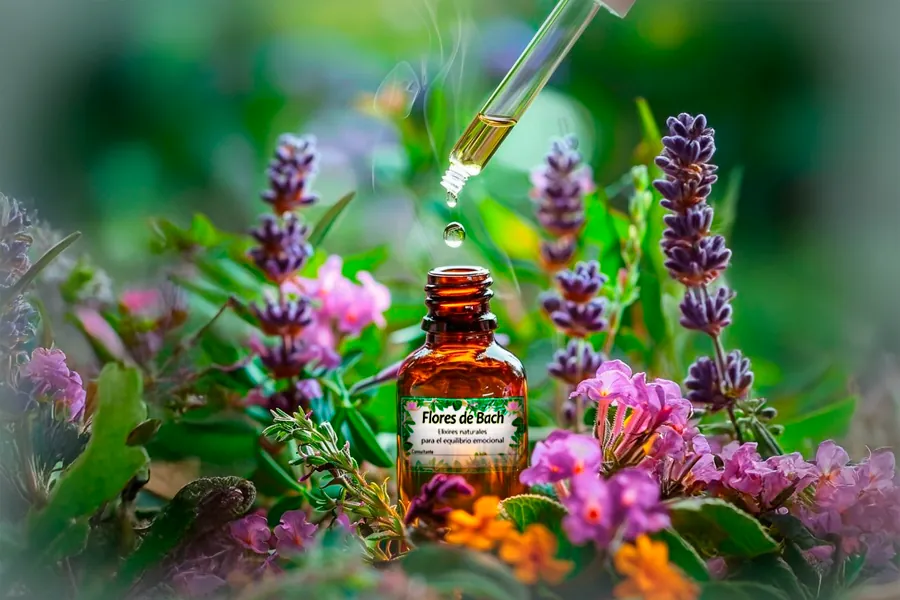 Flores de Bach